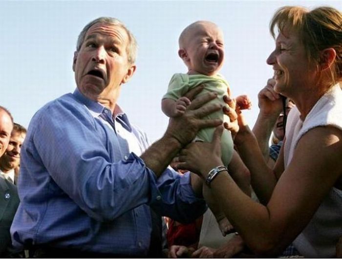 Bush