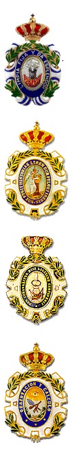 academias medallas 1