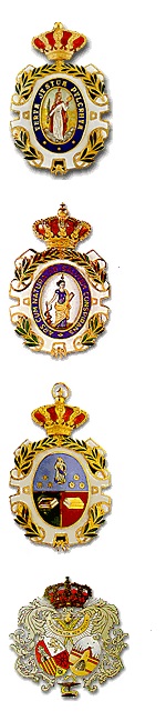 academias medallas 2
