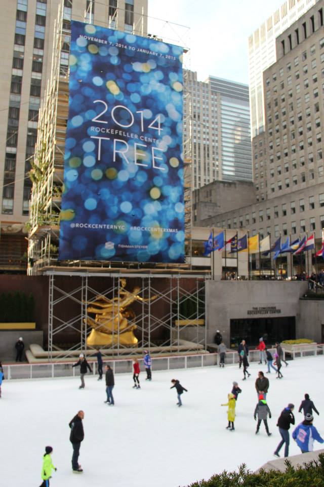 árbol arbol