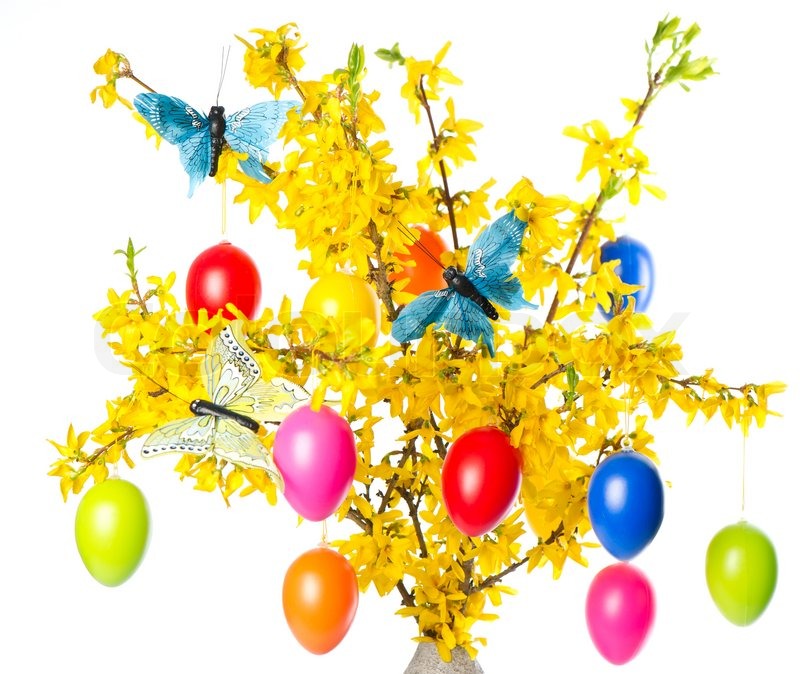 1716257-forsythia-flowers-and-easter-eggs