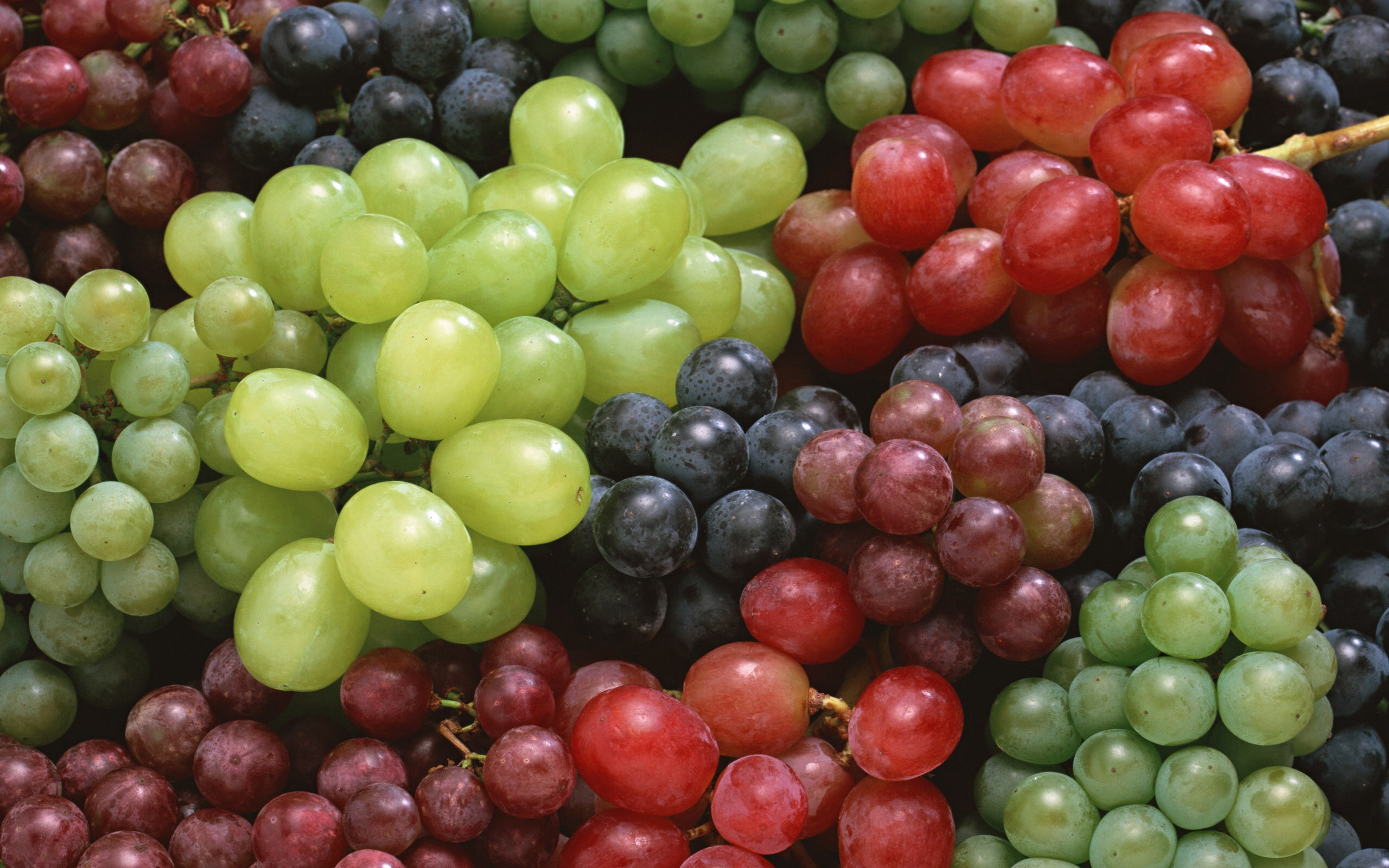 vino