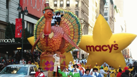 pavo