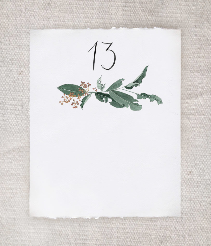 tarjetas